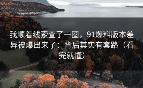 我顺着线索查了一圈，91爆料版本差异被爆出来了：背后其实有套路（看完就懂）