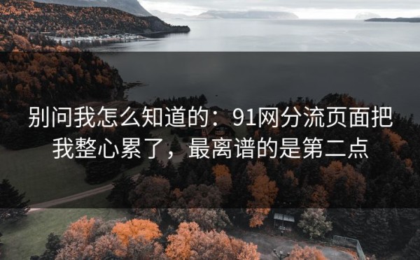 别问我怎么知道的：91网分流页面把我整心累了，最离谱的是第二点