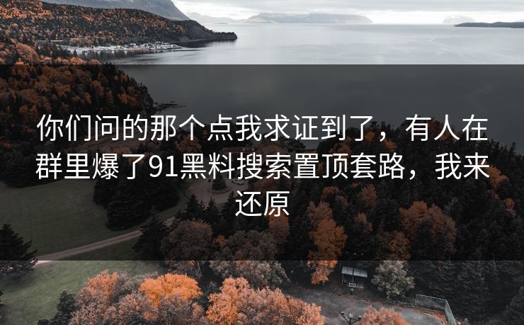 你们问的那个点我求证到了，有人在群里爆了91黑料搜索置顶套路，我来还原