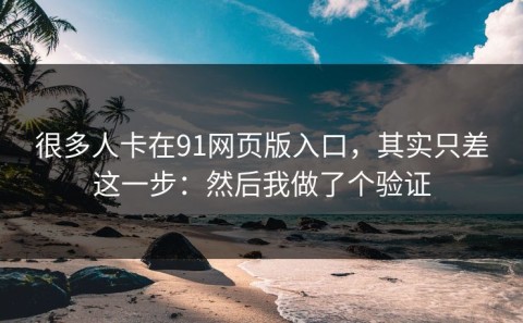 很多人卡在91网页版入口，其实只差这一步：然后我做了个验证