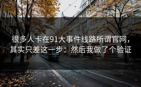 很多人卡在91大事件线路所谓官网，其实只差这一步：然后我做了个验证