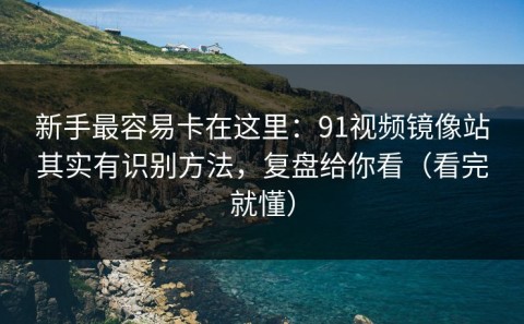 新手最容易卡在这里：91视频镜像站其实有识别方法，复盘给你看（看完就懂）