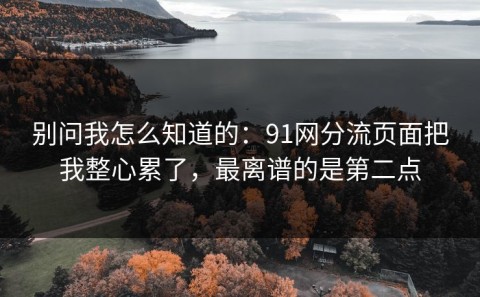 别问我怎么知道的：91网分流页面把我整心累了，最离谱的是第二点