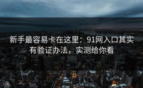 新手最容易卡在这里：91网入口其实有验证办法，实测给你看