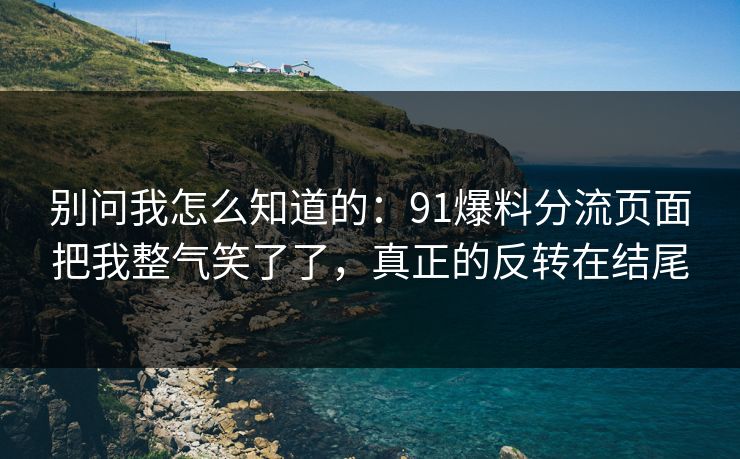 别问我怎么知道的：91爆料分流页面把我整气笑了了，真正的反转在结尾