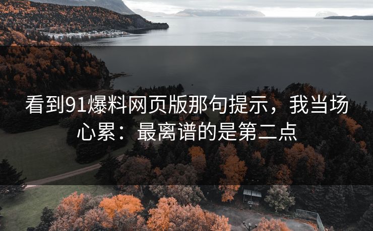 看到91爆料网页版那句提示，我当场心累：最离谱的是第二点