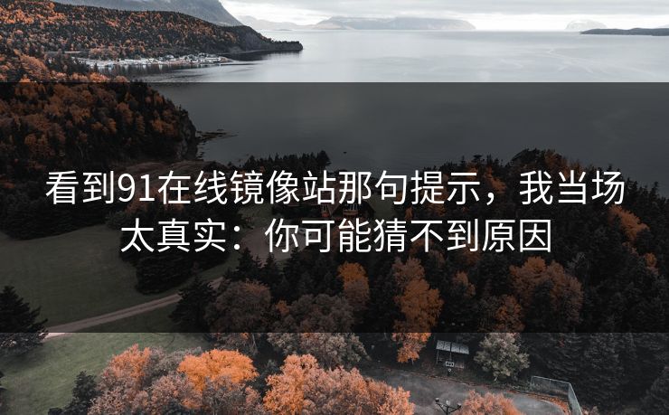 看到91在线镜像站那句提示,我当场太真实:你可能猜不到原因 看到91在线镜像站那句提示,我当场太真实:你可能猜不到原因