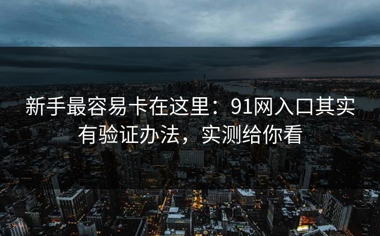 新手最容易卡在这里：91网入口其实有验证办法，实测给你看