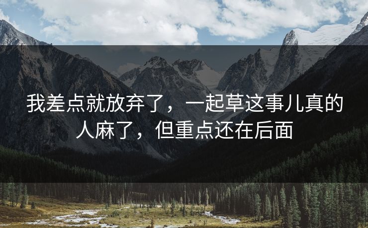 我差点就放弃了,一起草这事儿真的人麻了,但重点还在后面 我差点就放弃了,一起草这事儿真的人麻了,但重点还在后面